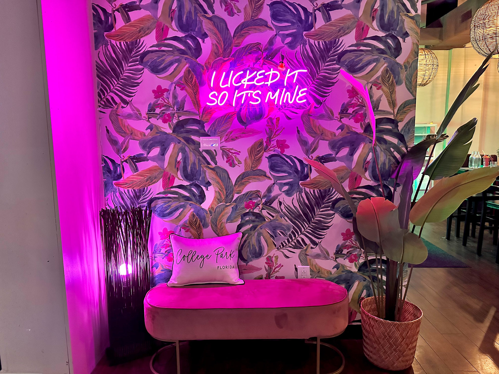 Seat against wall with neon lighting and fern wallpaper